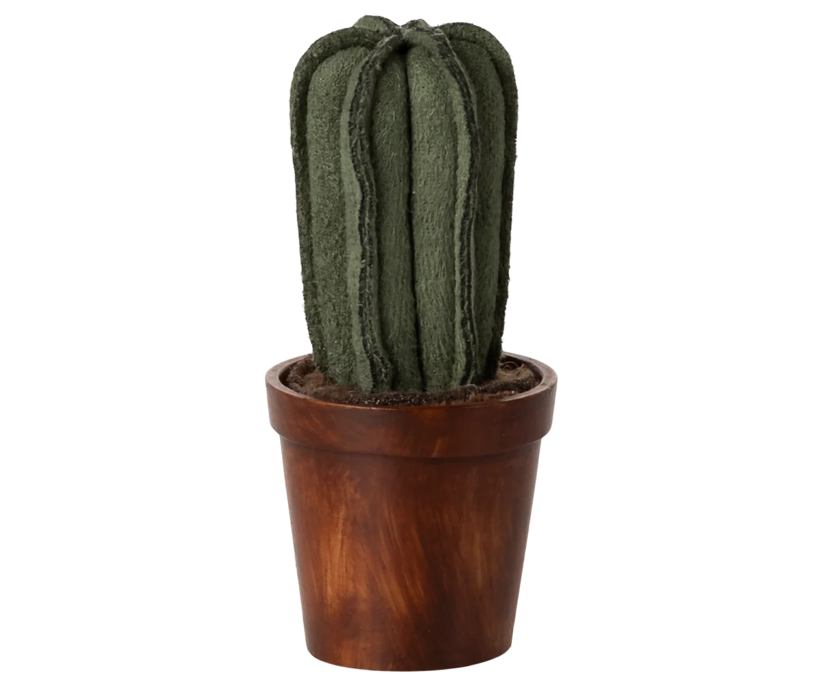 Flower pot with cactus