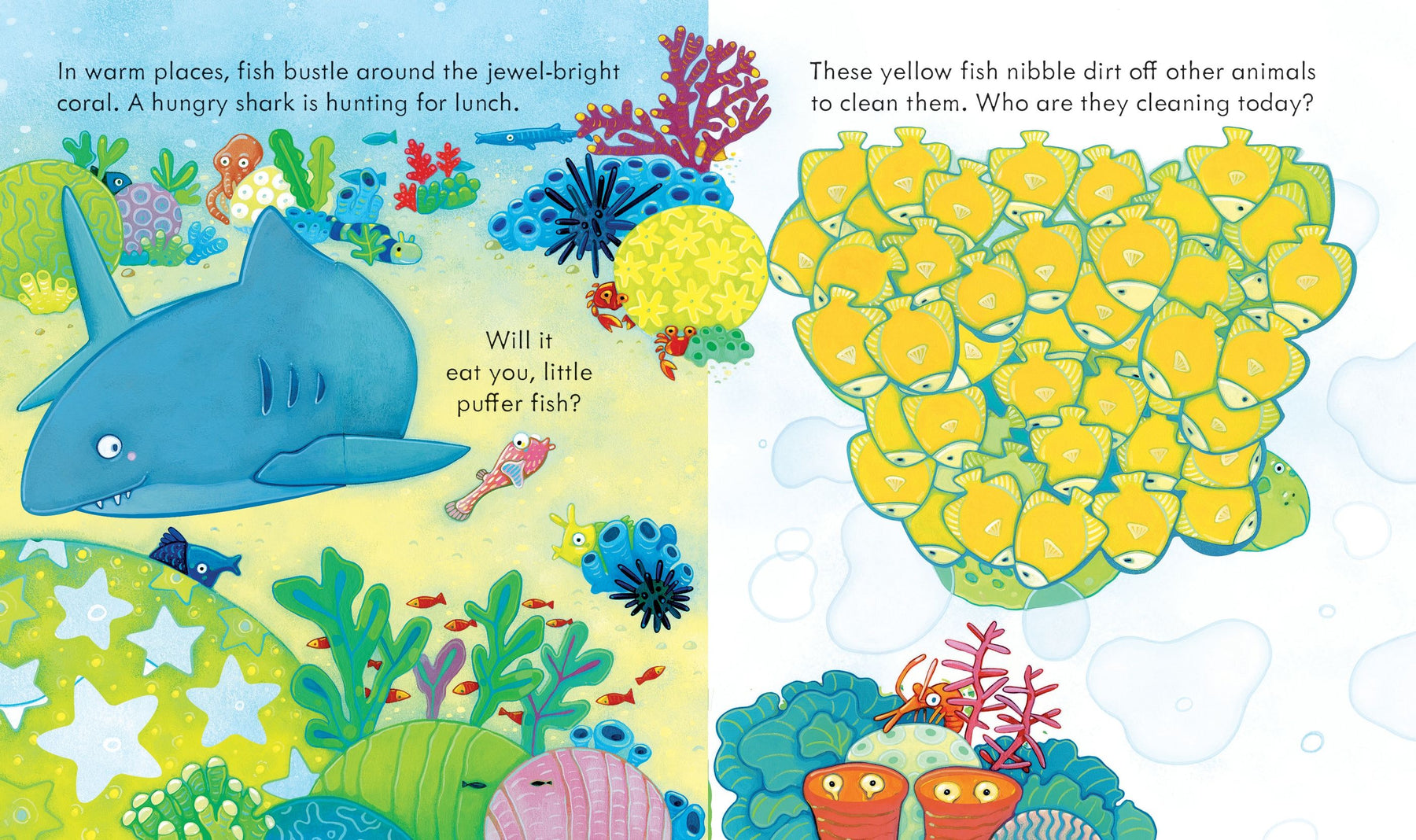 Peek Inside the Sea – Pocket Full of Posies