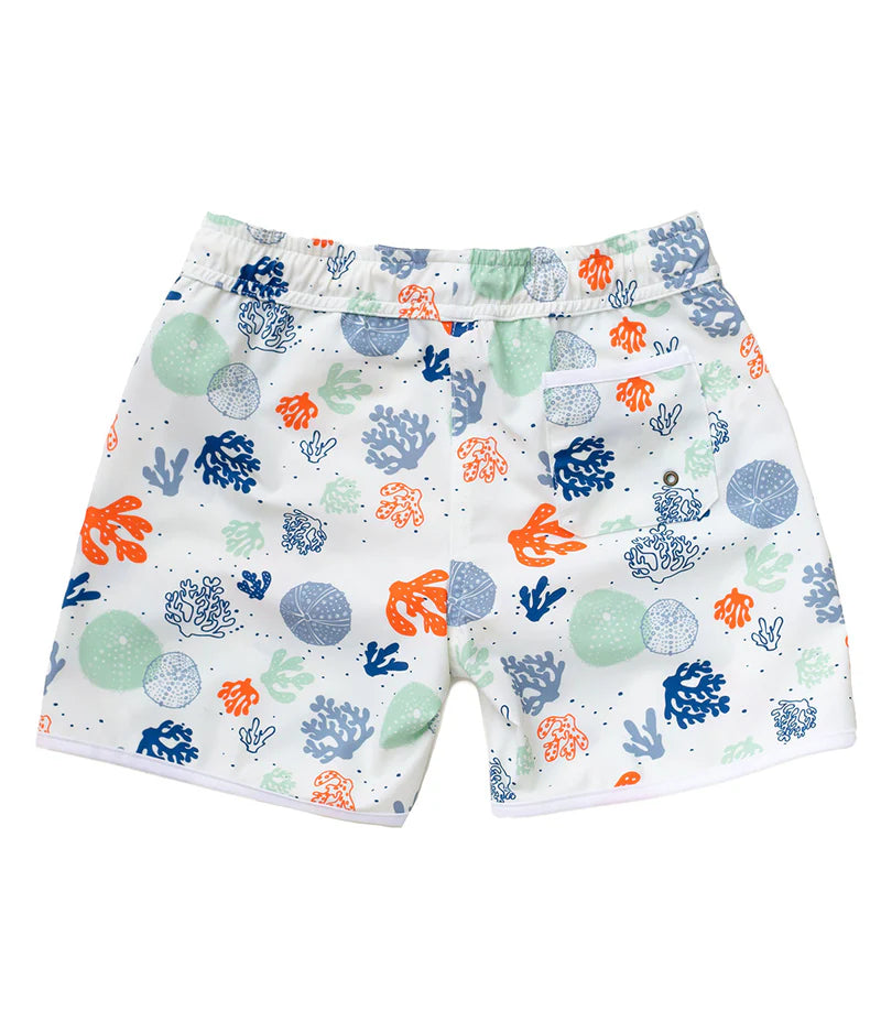 Tommaso Swim Shorts