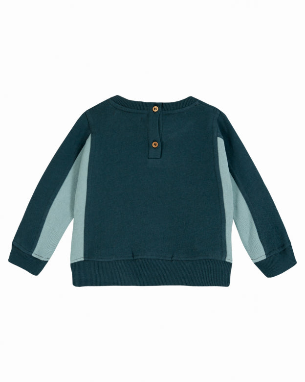 Blue and Green Colorblock Sapin Sweatshirt